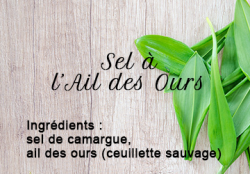 Bear's garlic salt