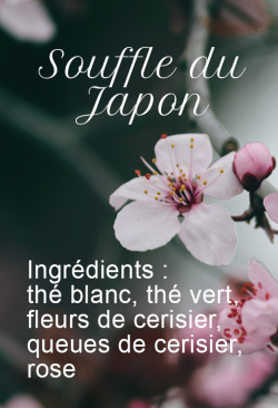 Souffle du Japon