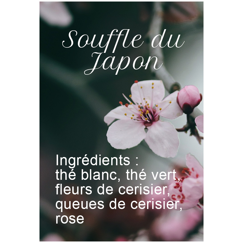 Té Sencha, té blanco, flor de cerezo y rosa.