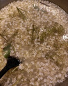 Sirop de Sureau