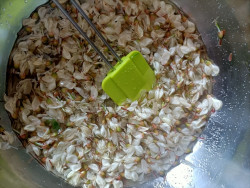 Acacia syrup