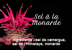 Sel de l'Himalaya à la monarde