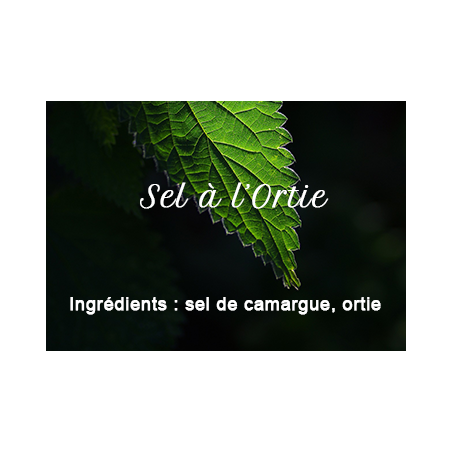Salt with nettle Salt with nettle