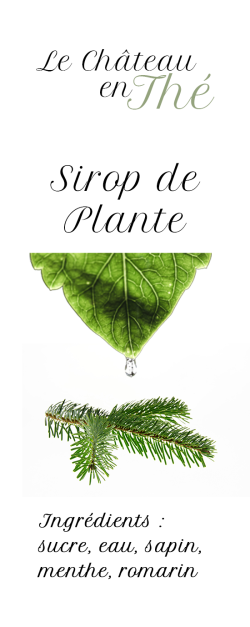 Plant syrup