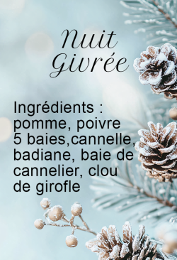 Nuit Givrée