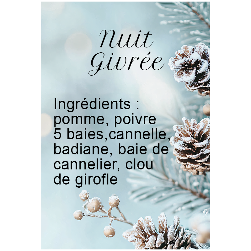 Nuit Givrée